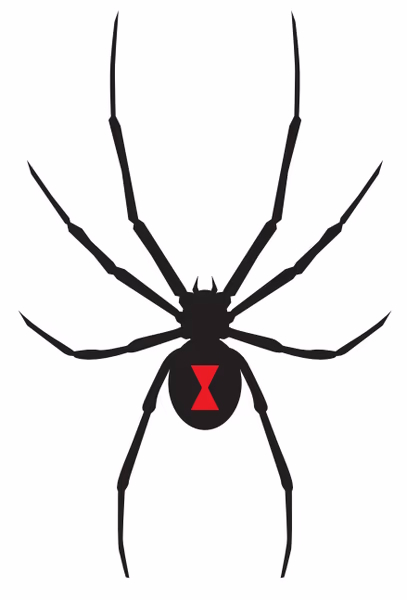 Logo Schwarze Witwe